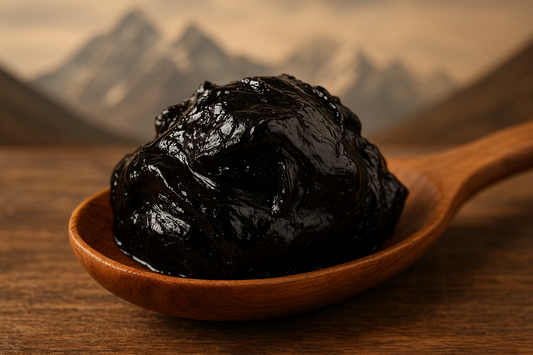 Shilajit – Das „schwarze Gold“ des Himalaya und seine Wirkung auf Körper & Geist