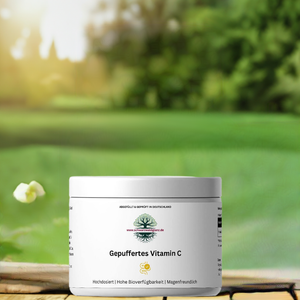 Gepuffertes Vitamin C 500mg - 360 Kapseln
