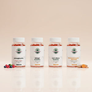 Nature’s Four – Premium Discovery Set von Schwarzwaldglanz: Ashwagandha, Shilajit, Löwenmähne und Kurkuma Gummies im Premium-Studio-Look.